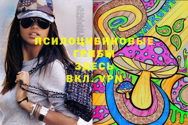 эйфоретик Алзамай