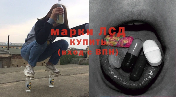 apvp Алексин