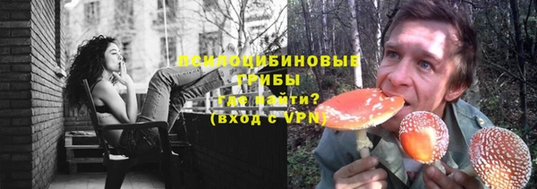 винт Алексеевка