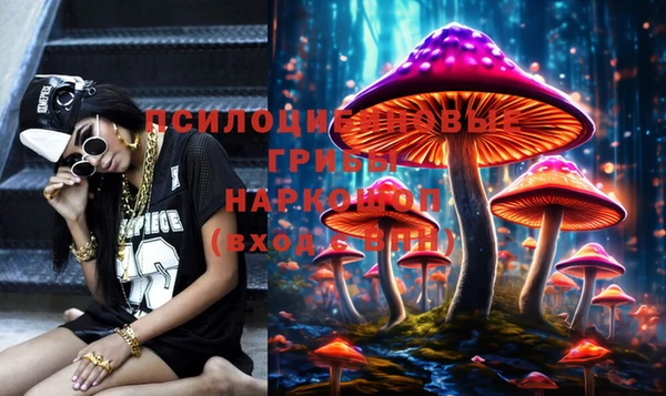 apvp Алексин