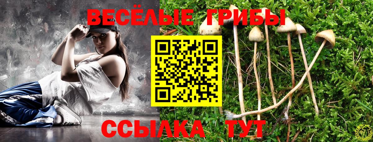 Апатиты  Псилоцибиновые грибы Cubensis  Псилоцибиновые грибы мицелий  Вход с VPN 