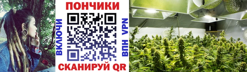 Шишки марихуана тримм Апатиты